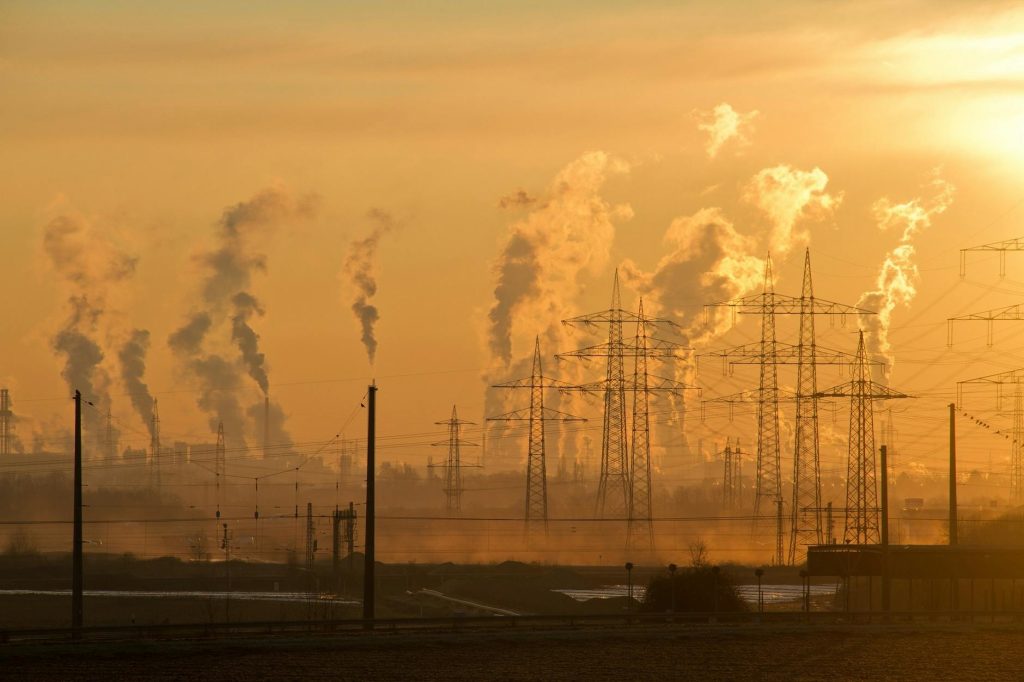 Carbon‑Heavy AI? Environmental Costs